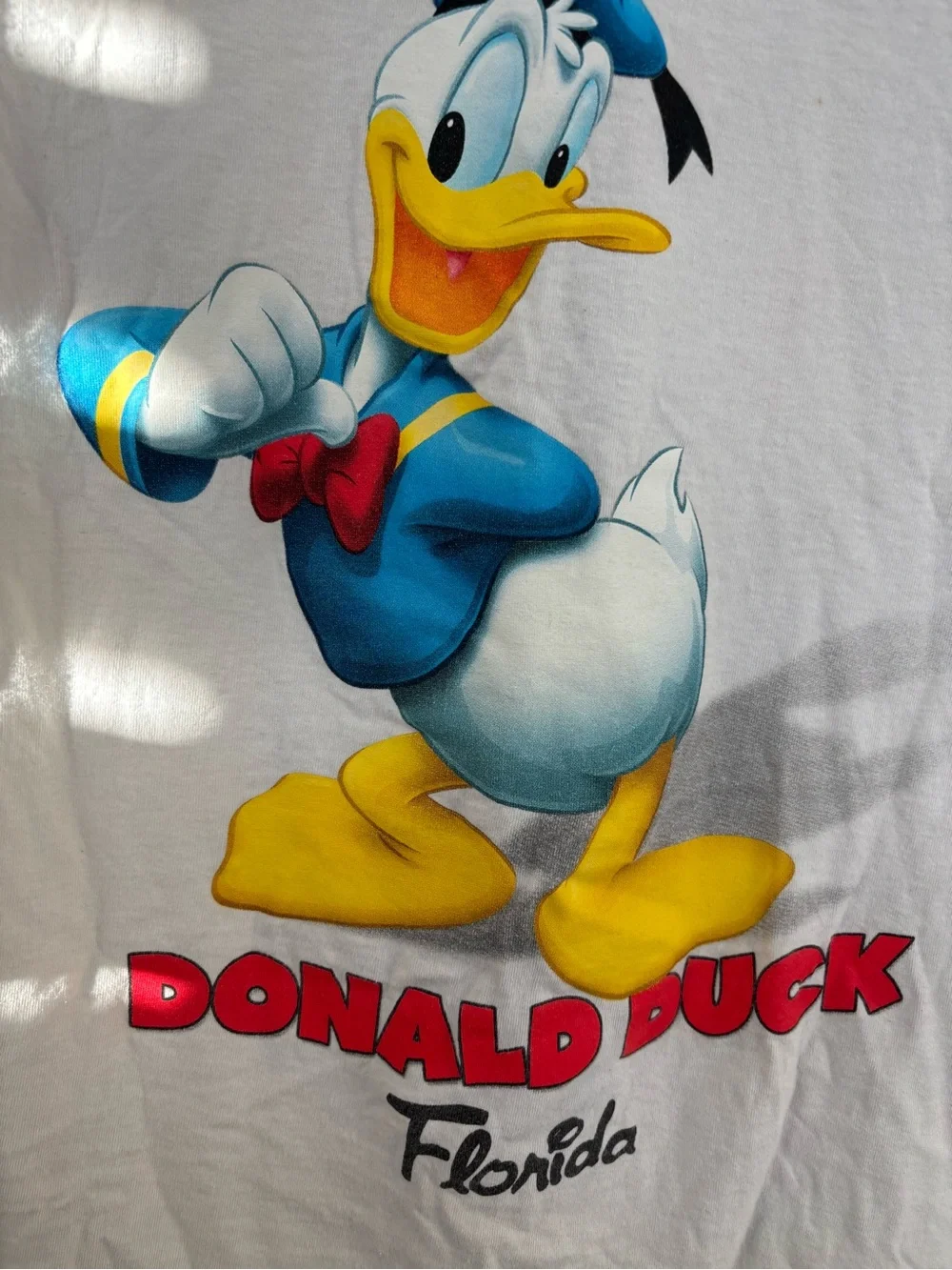 Vintage 1934 Donald Duck T-Shirt – Florida Color Back Graphic.